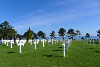 The day on the green grass white wooden fence
